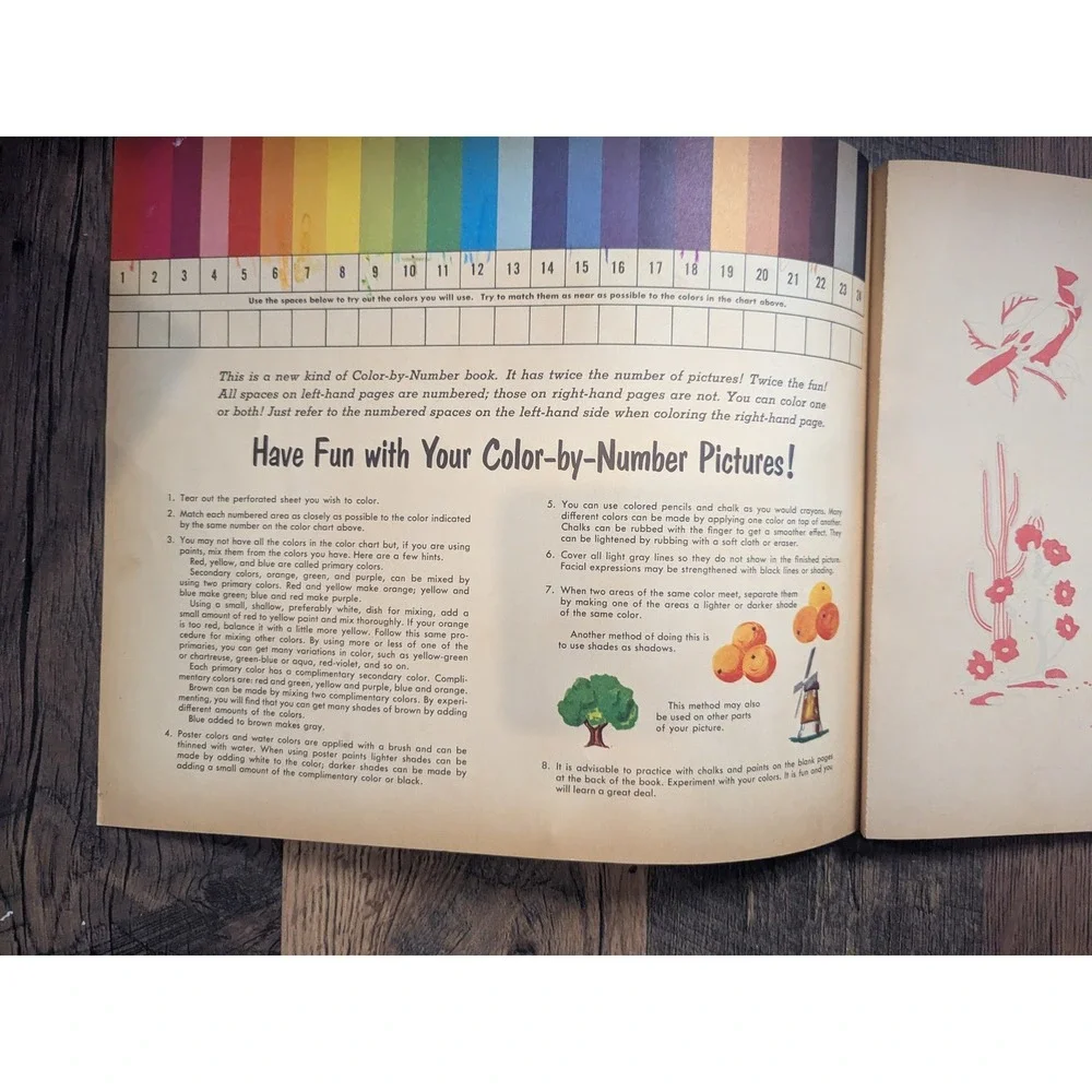 1962 Whitman Nature Color By Number Book Drawings by Judy Stang‎ 11x13